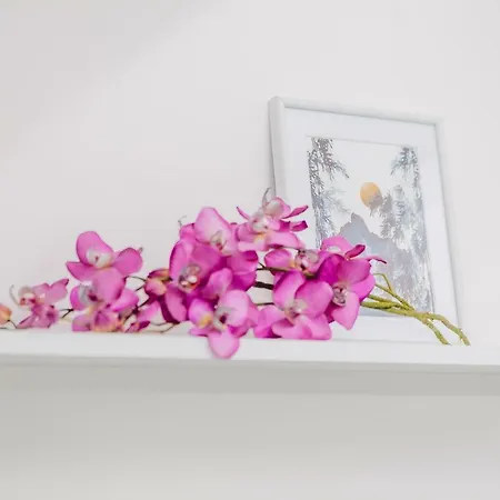 Blue Point 406 Premium Appartement *